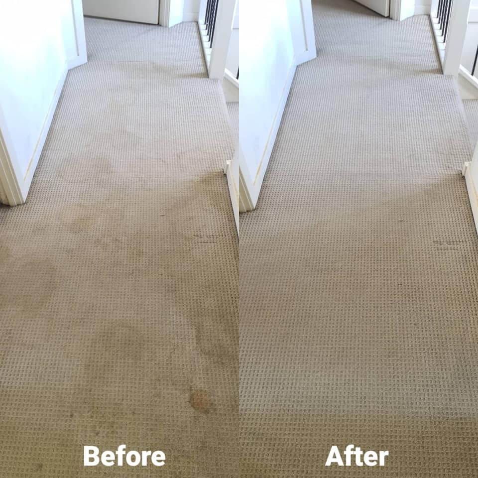 Home NEO CARPET CLEANING