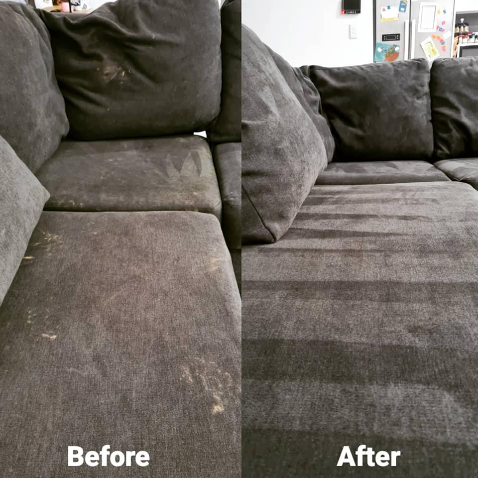 Home NEO CARPET CLEANING