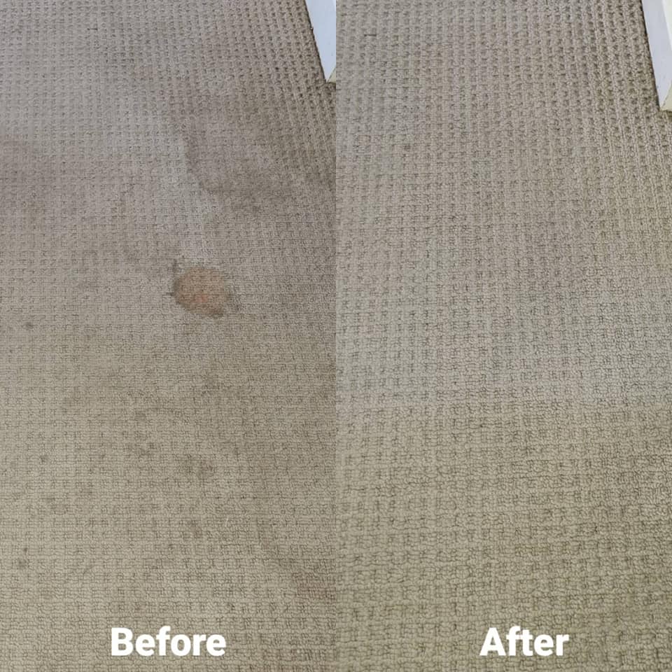 Home NEO CARPET CLEANING