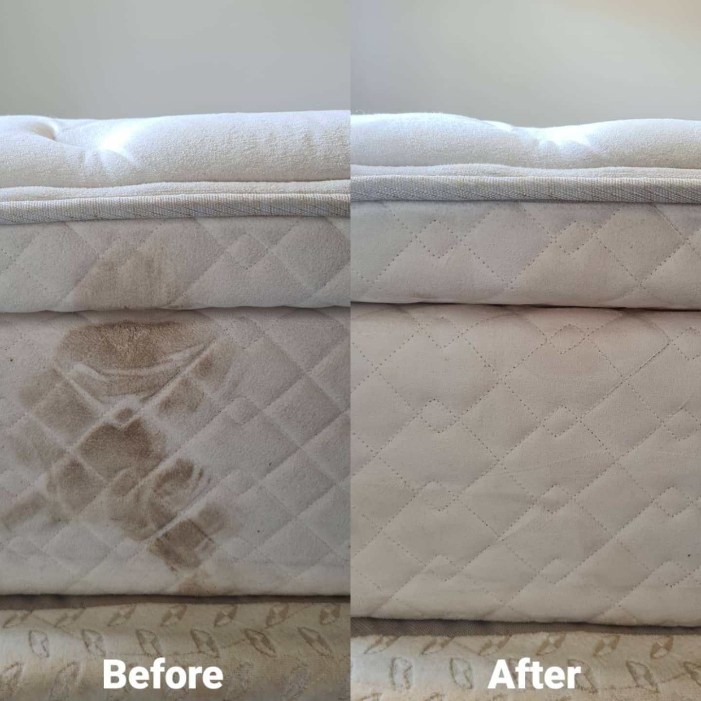 professional mattress clean